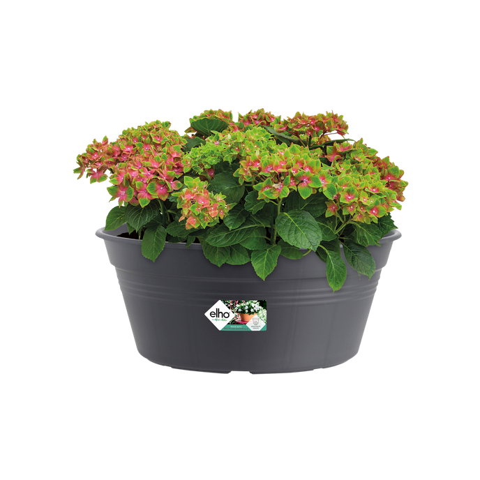 green basics schale 33cm living schwarz